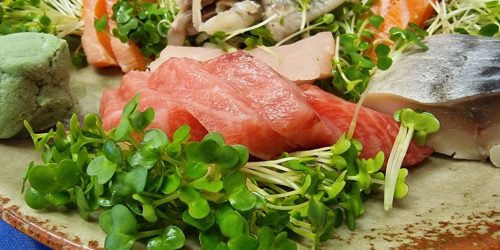 A selection of fresh fish served on a plate
